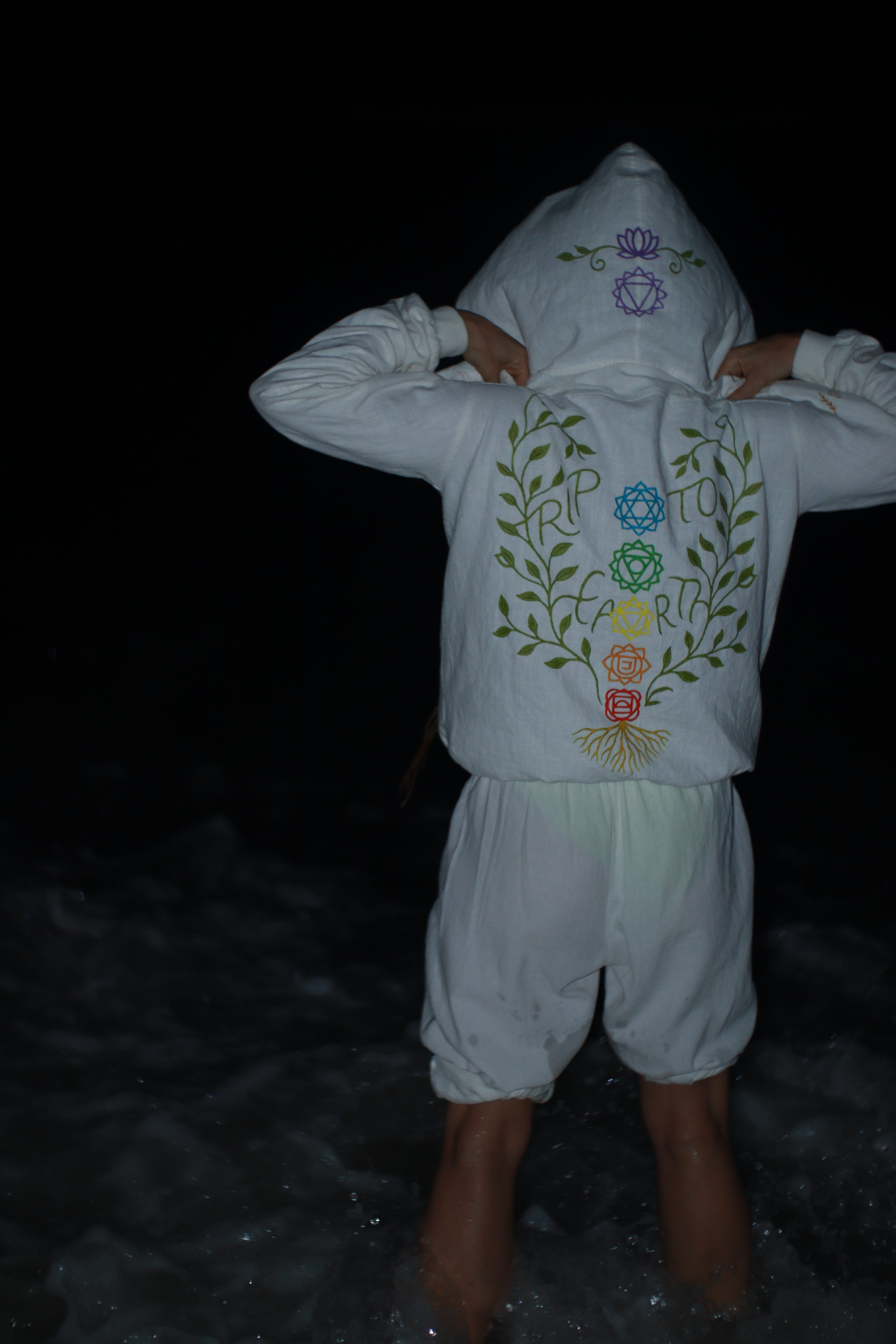 Trip To Earth Chakra Hoodie