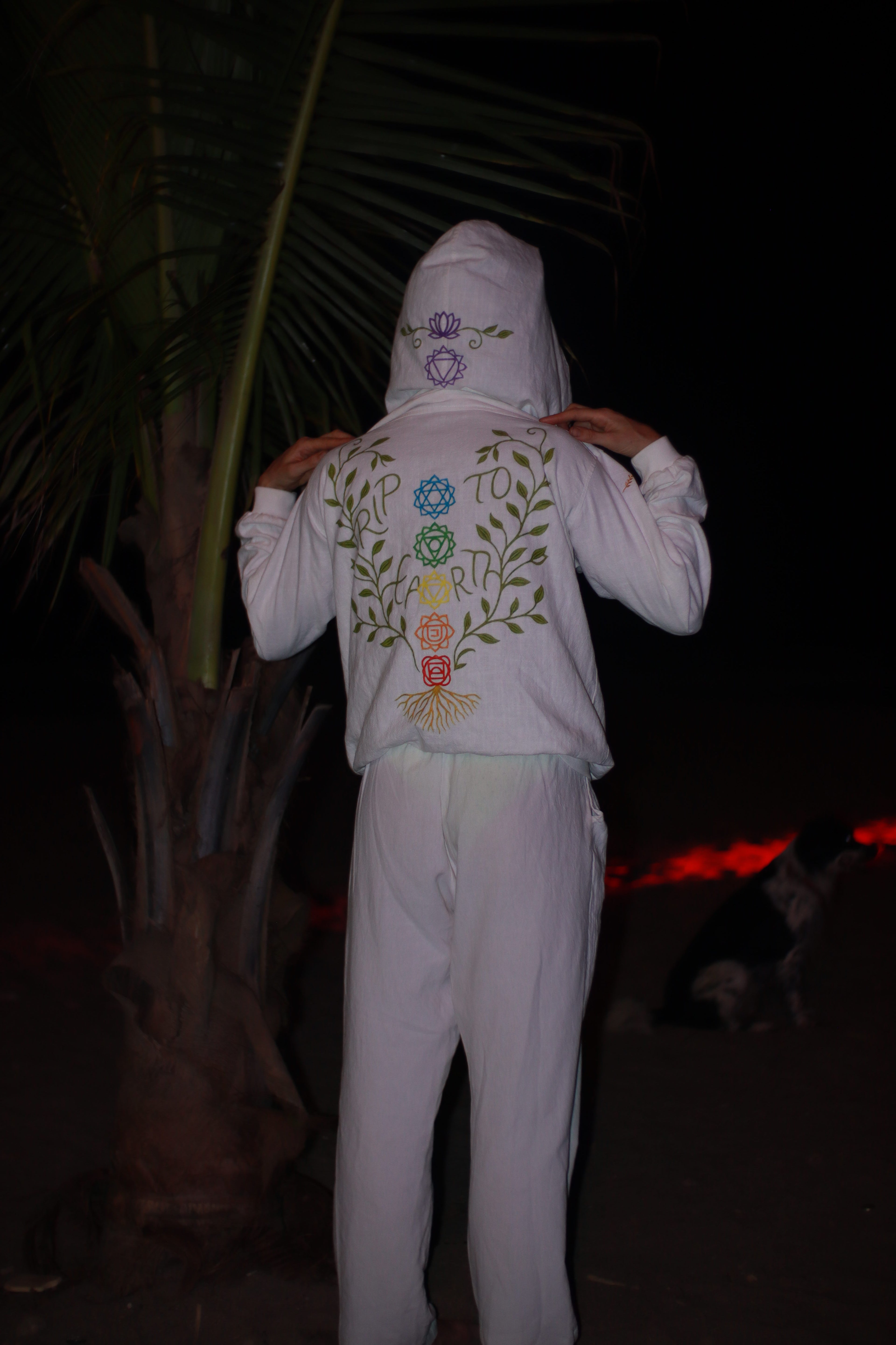 Trip To Earth Chakra Hoodie